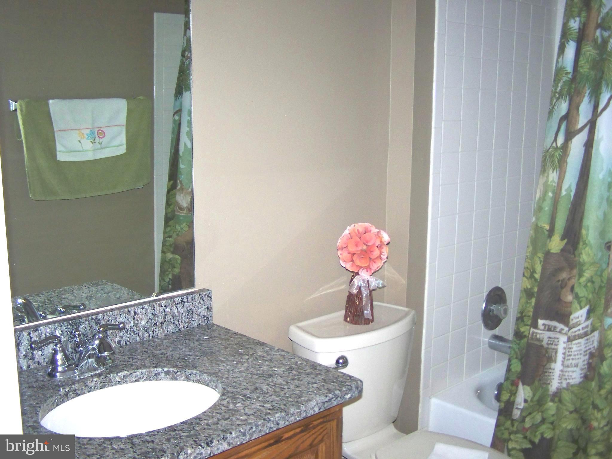 9229 Bretton Reef Road Baltimore, MD 21234 - Photo 18 of 30 Hall Bath with Granite Vanity