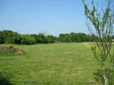 19522 Allen Road Trenton, MI 48183 - Photo 3 of 5 906800-2.JPG