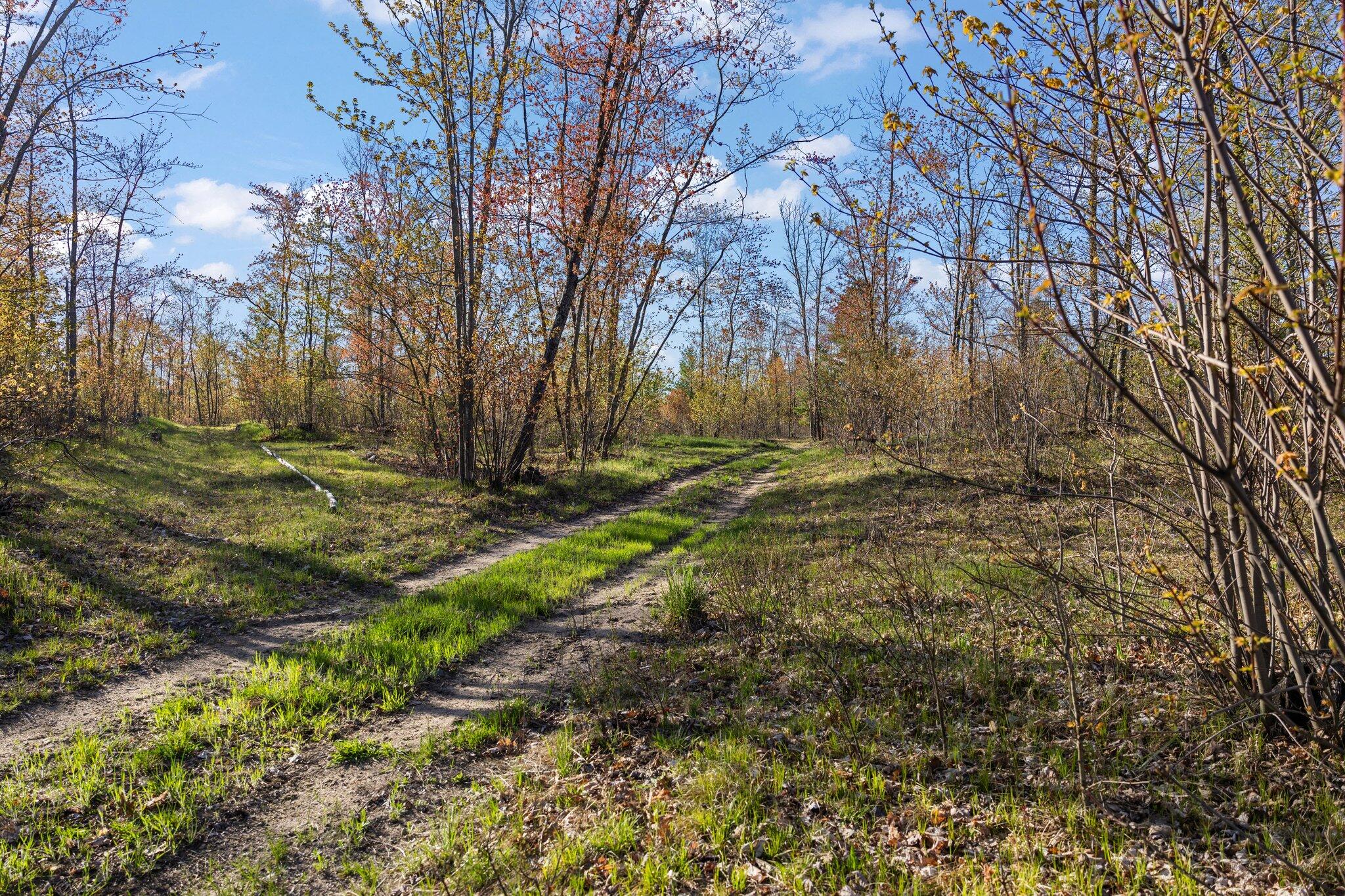 10-acres West Miller Road Lewiston, MI 49756 - Photo 21 of 43 Gallery Image 21