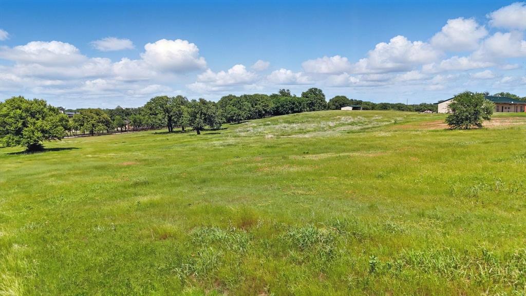 View of local wilderness with a rural view