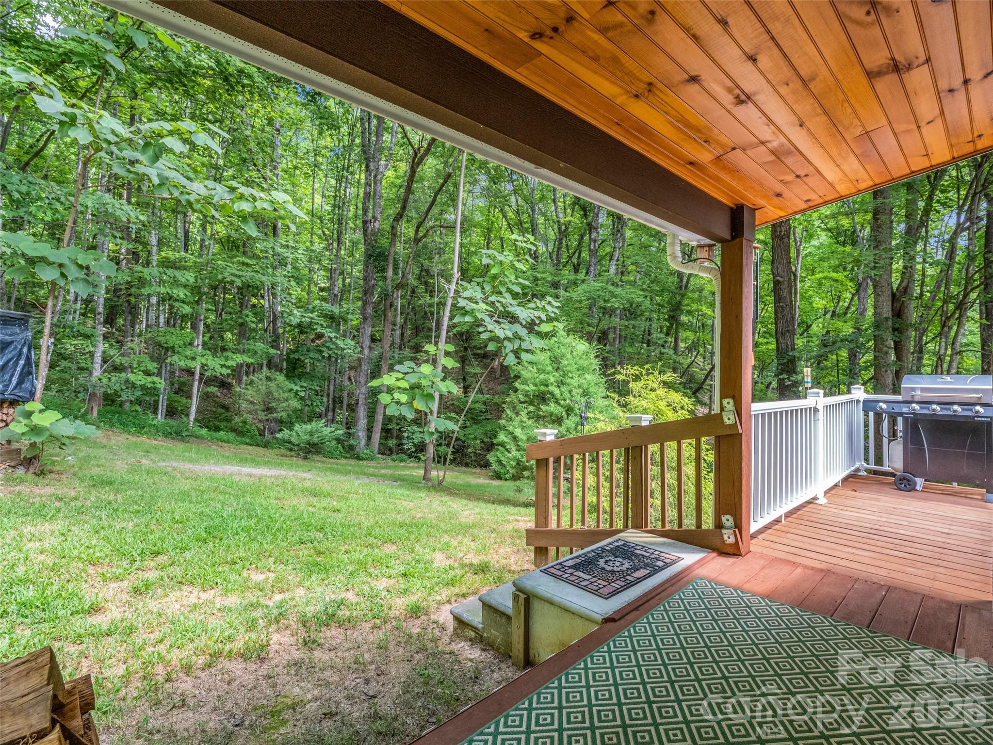 479 Camp Hill Road Mill Spring, NC 28756 - Photo 9 of 48