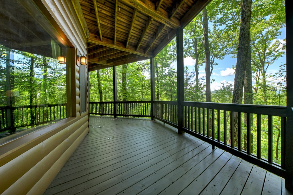 839 Green Ridge Road Blue Ridge, GA 30513 - Photo 54 of 54 Gallery Image 54