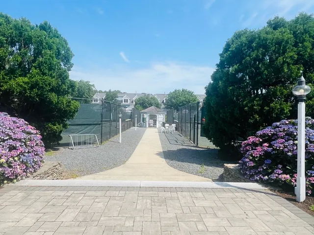 a view of a backyard