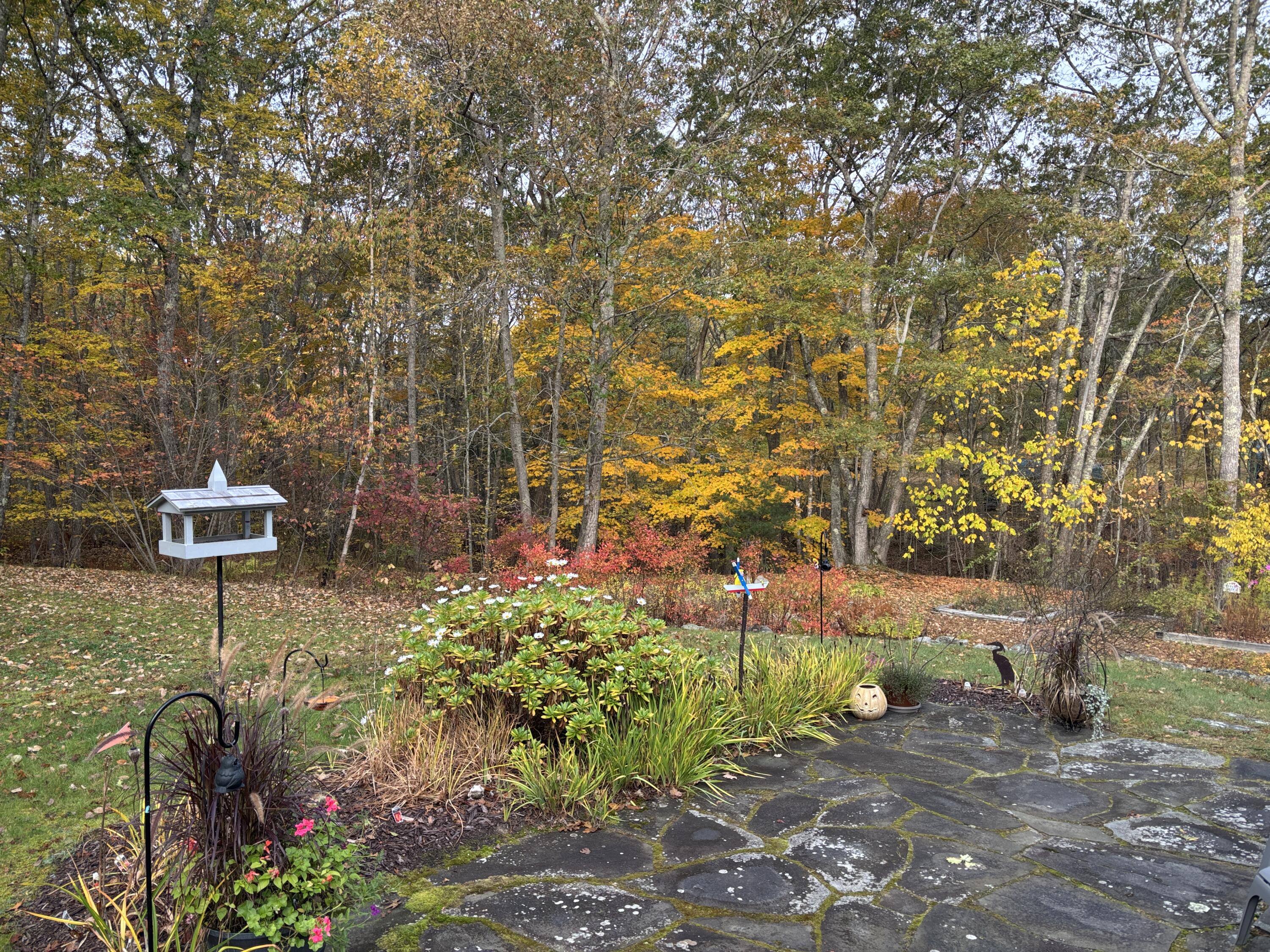 5 Morrison Road Round Pond, ME 04564 - Photo 37 of 46 Grounds