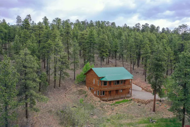 a view of a city with lush green forest