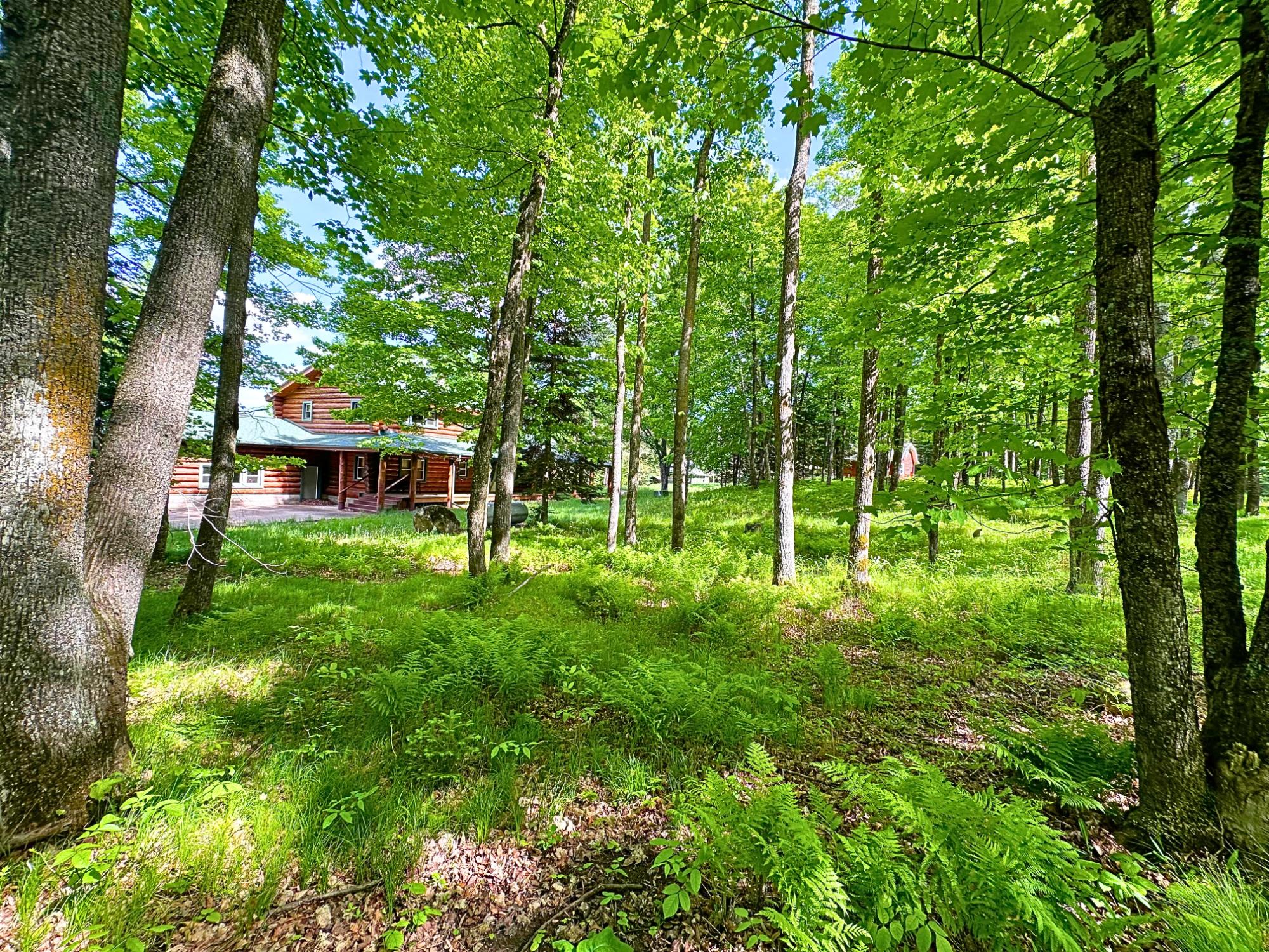 N13038 Hicks Landing Road Fifield, WI 54524 - Photo 67 of 99 Gallery Image 67