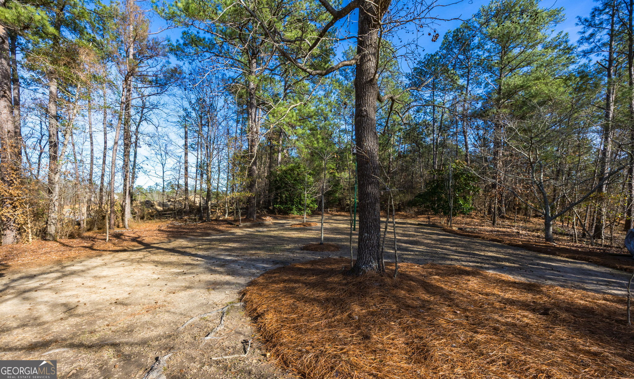 312 Pinnacle Park Macon, GA 31220 - Photo 57 of 63 a view of a yard with large trees