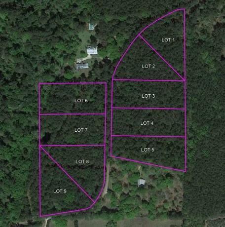 Lot 6 Hubert Stilley Road Independence, LA 70443 - Photo 1 of 1