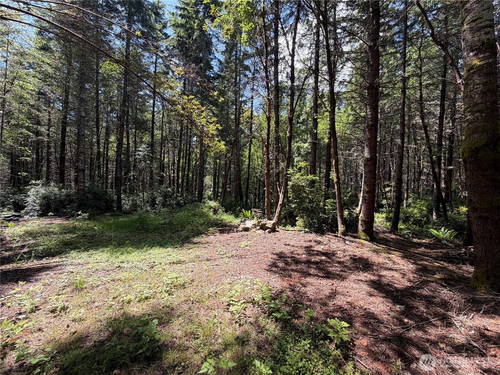 178 Geoduck Drive Quilcene, WA 98376 - Photo 4 of 7