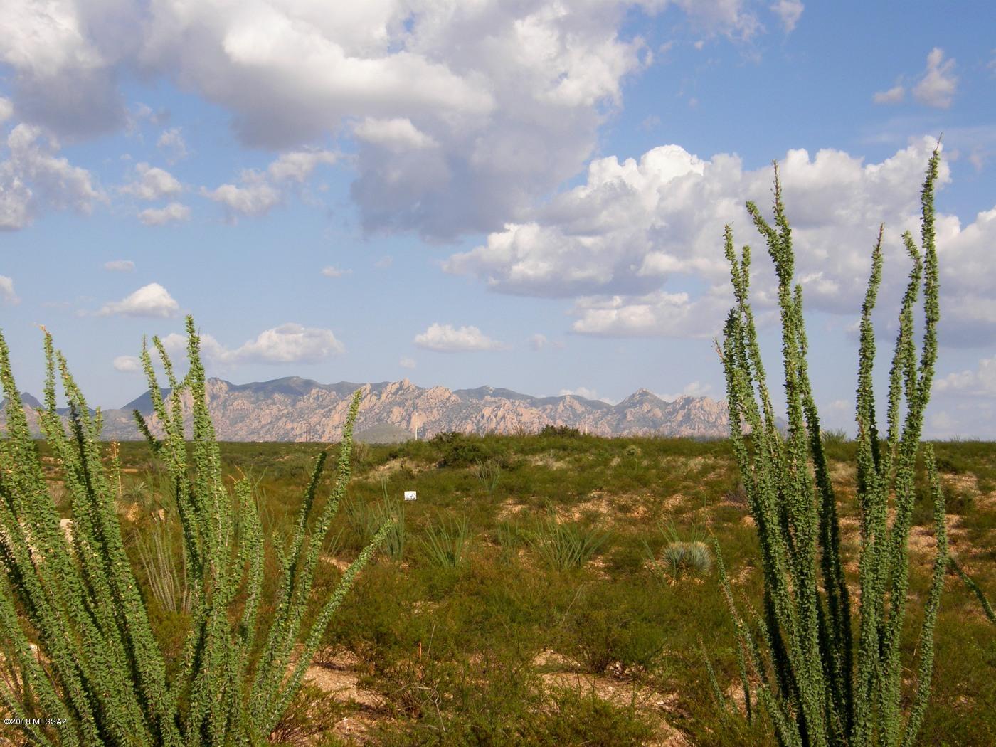 Lot 218 East Dragoon Ranch Road, Unit 218 St. David, AZ 85630 - Photo 3 of 16