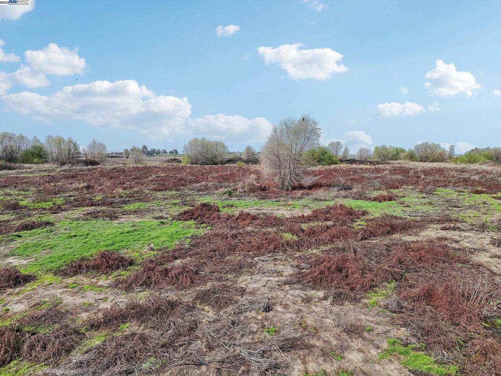 -00 Brannan Isle Road Isleton, CA 95641 - Photo 12 of 19 a view of a yard