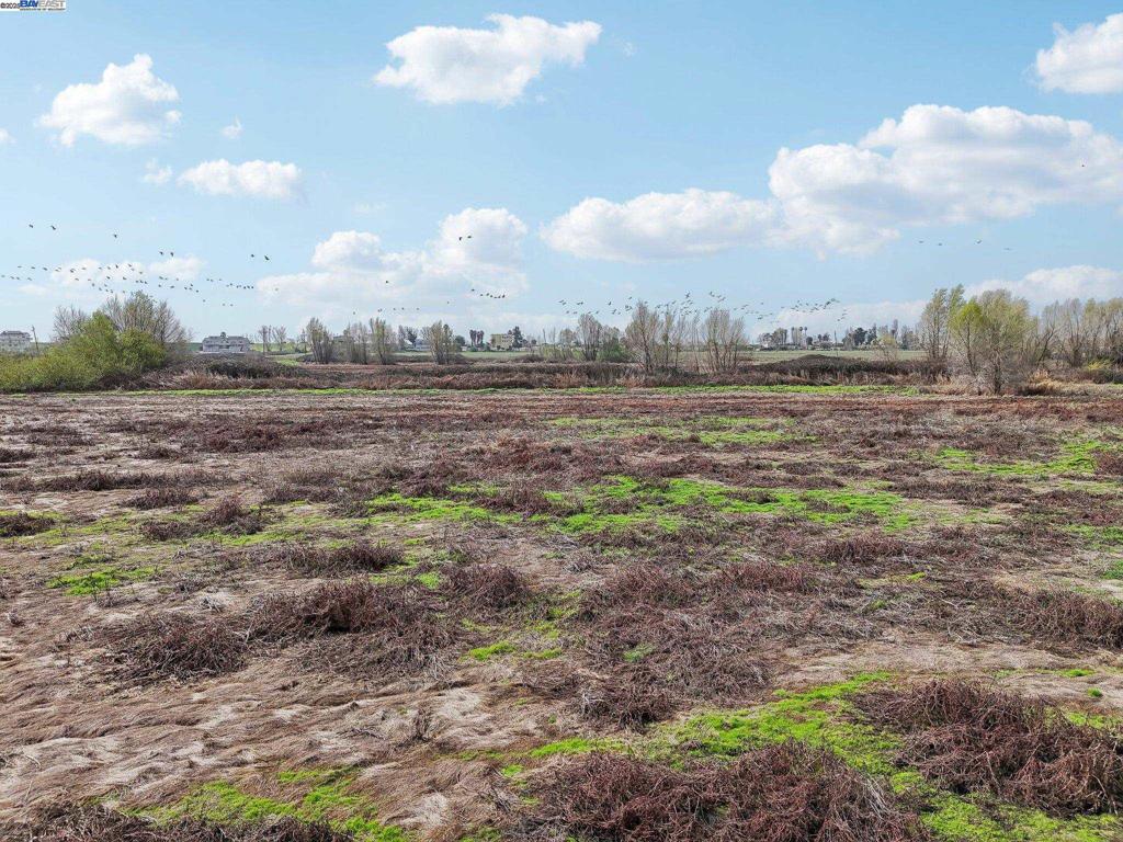 -00 Brannan Isle Road Isleton, CA 95641 - Photo 13 of 19 a view of an outdoor space