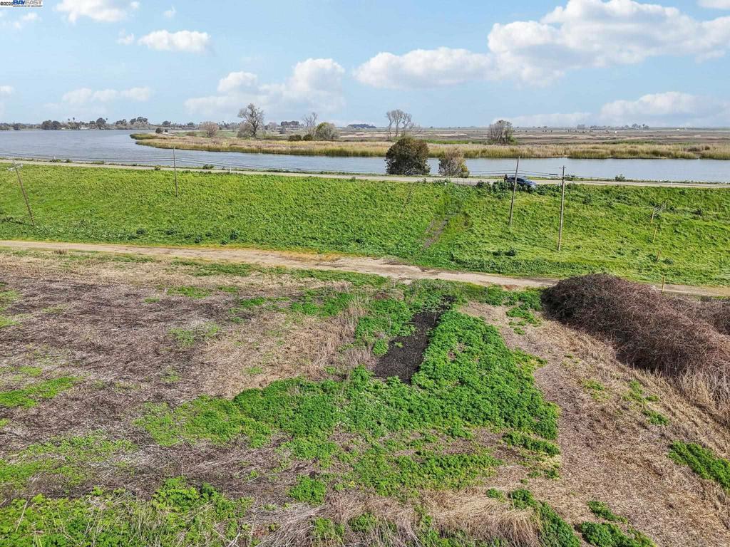 -00 Brannan Isle Road Isleton, CA 95641 - Photo 9 of 19 a view of a big yard with plants and large trees