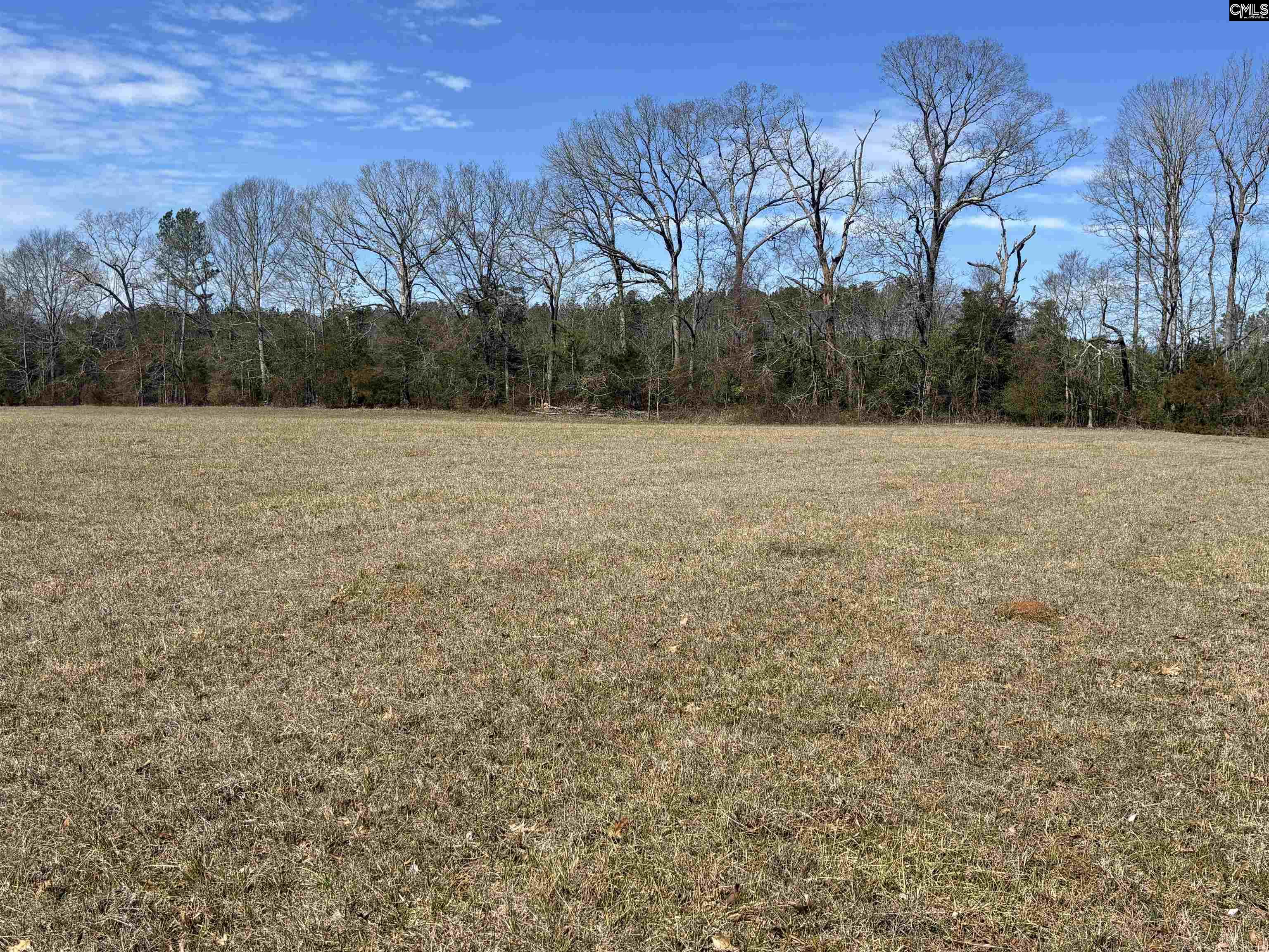 0 Bethany Road Saluda, SC 29138 - Photo 14 of 24