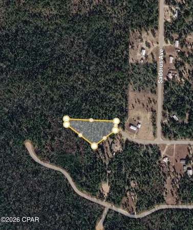 $20,000 | 0 Sandoval Court, Alford, FL 32420