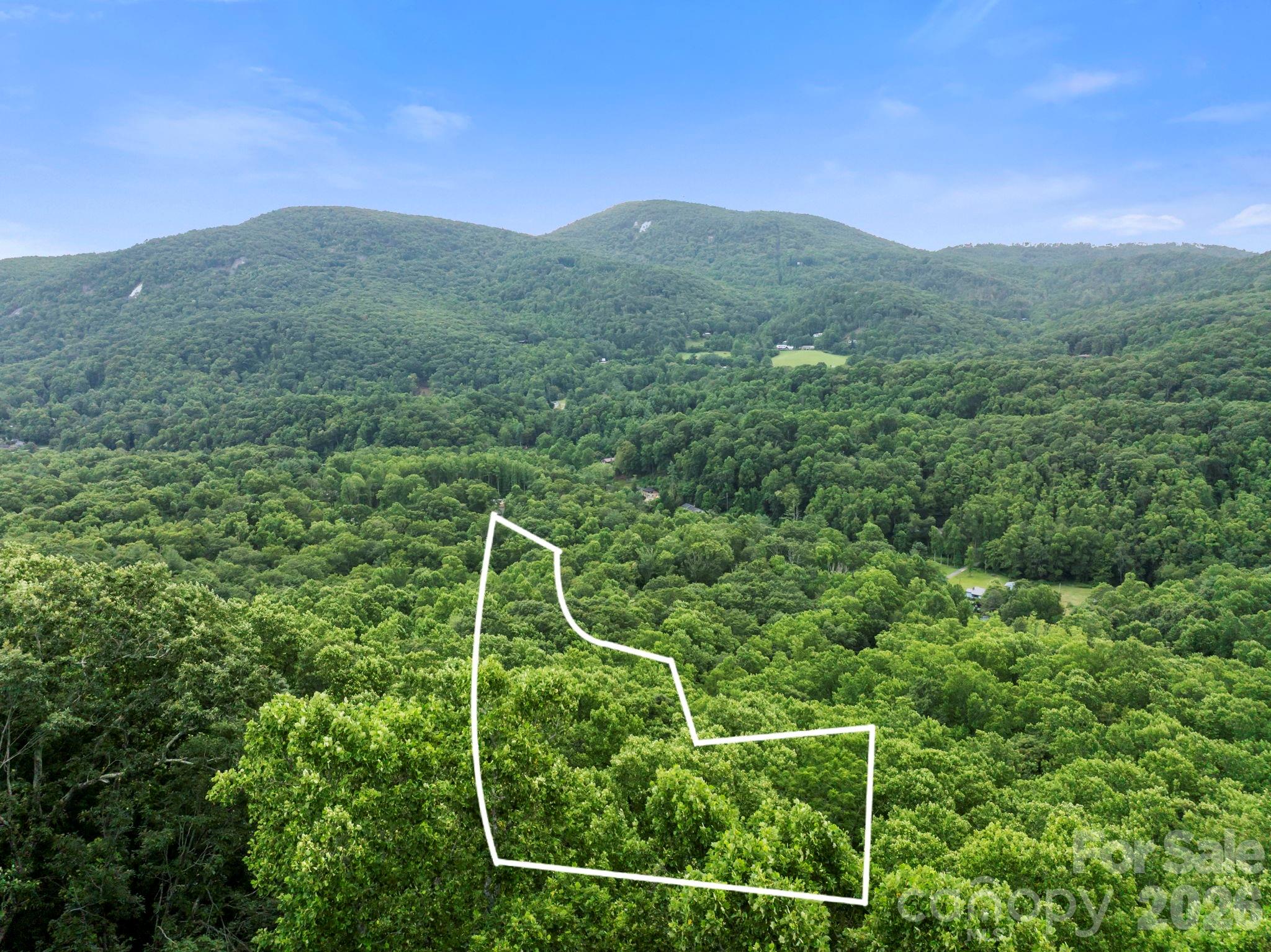 99999 Little Pisgah Road Fairview, NC 28730 - Photo 12 of 13