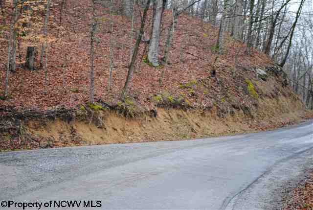 Hunters Hunters Fork Road Belington, WV 26250 - Photo 4 of 9 Gallery Image 4