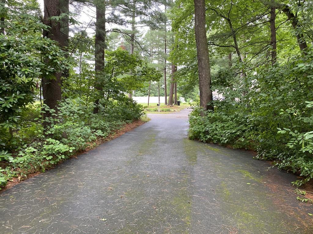 5 Betty Road Walpole, MA 02081 - Photo 35 of 36 Gallery Image 35