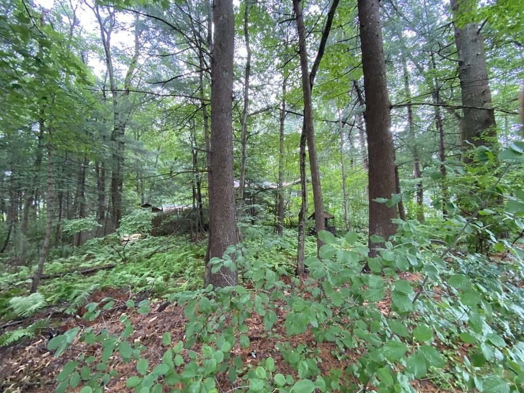 5 Betty Road Walpole, MA 02081 - Photo 36 of 36 Gallery Image 36