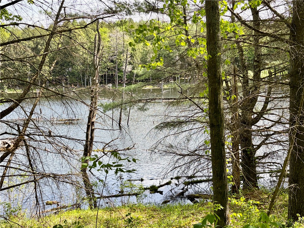 0 Maples Road Milford, NY 13807 - Photo 3 of 9