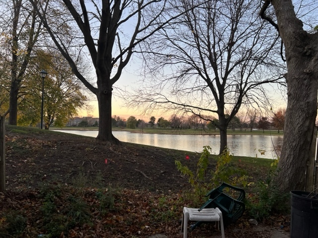 1010 Denham Place Schaumburg, IL 60169 - Photo 16 of 16 a view of a lake view
