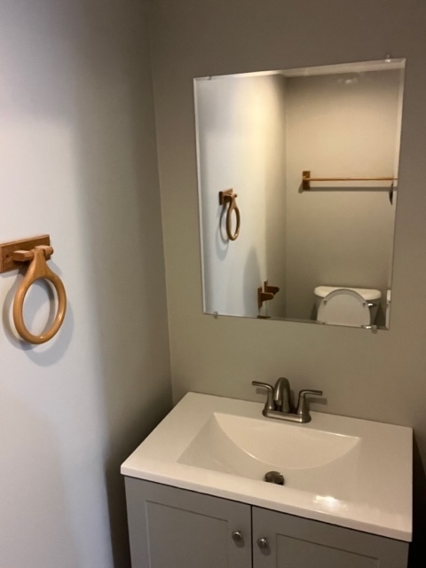 1010 Denham Place Schaumburg, IL 60169 - Photo 8 of 16 a bathroom with a sink and a mirror