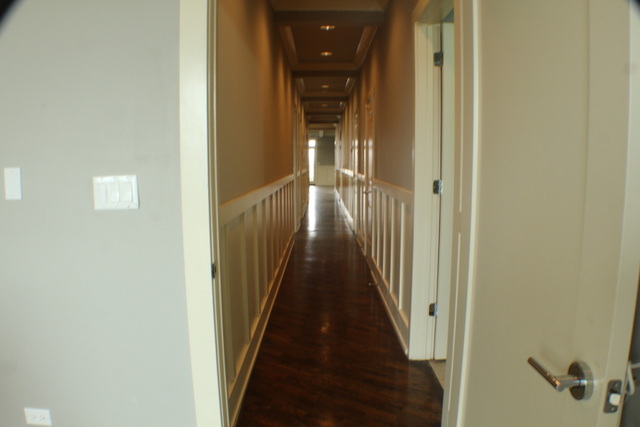 4029 South Ellis Avenue, Unit 5S Chicago, IL 60653 - Photo 17 of 31 a view of a hallway with a elevator