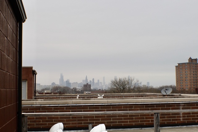 4029 South Ellis Avenue, Unit 5S Chicago, IL 60653 - Photo 30 of 31 a view of a city