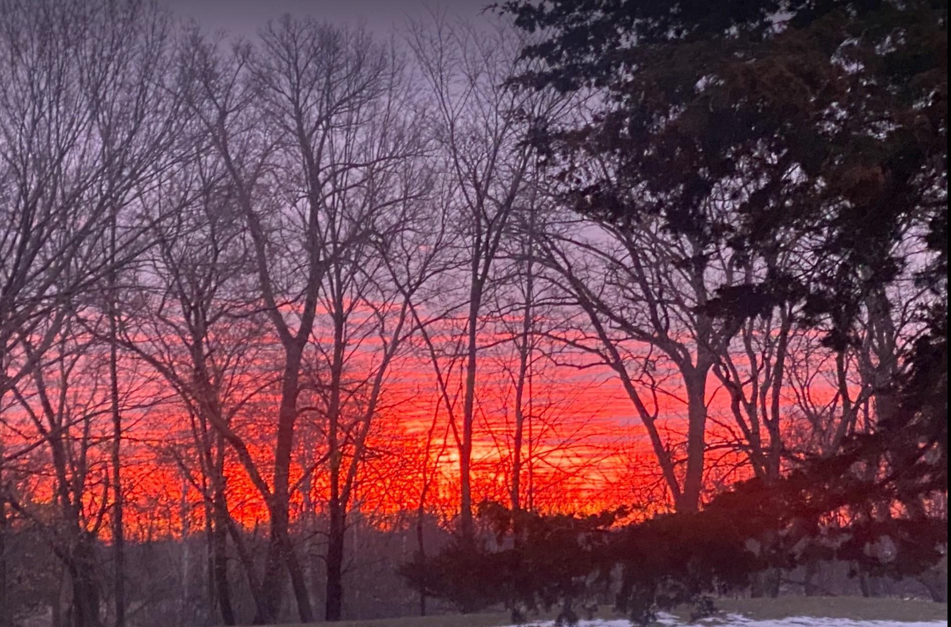 940 Brown Road South Wayzata, MN 55391 - Photo 28 of 33