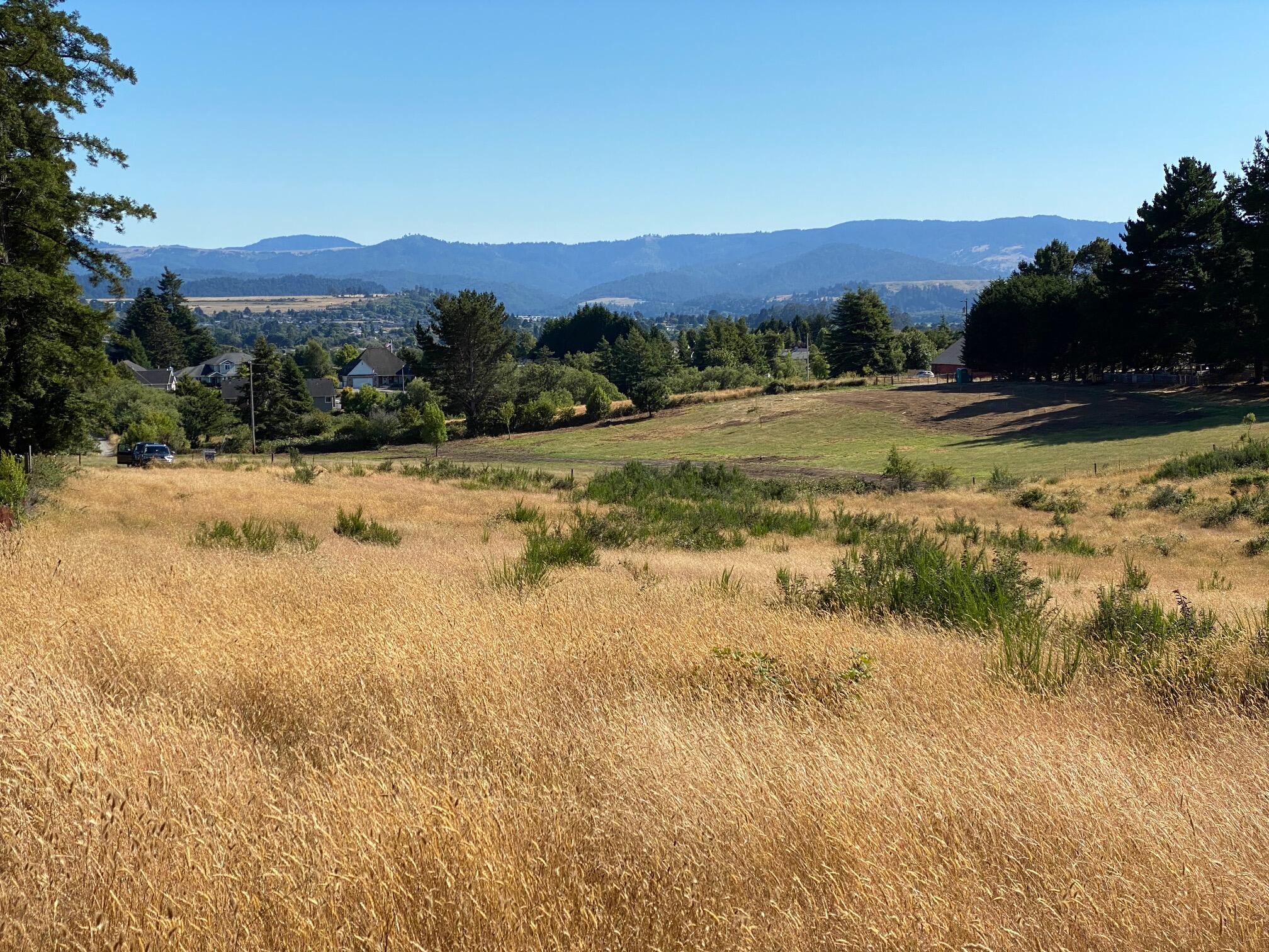 0 Nelson Lane Fortuna, CA 95540 - Photo 1 of 7