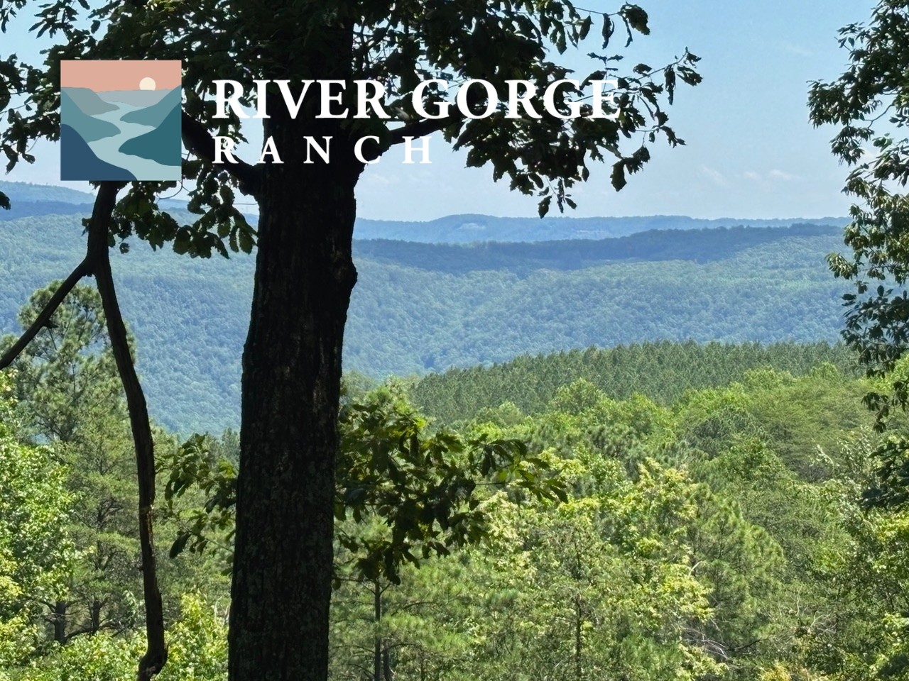 0 Big View Road Guild, TN 37340 - Photo 2 of 14 Gallery Image 2