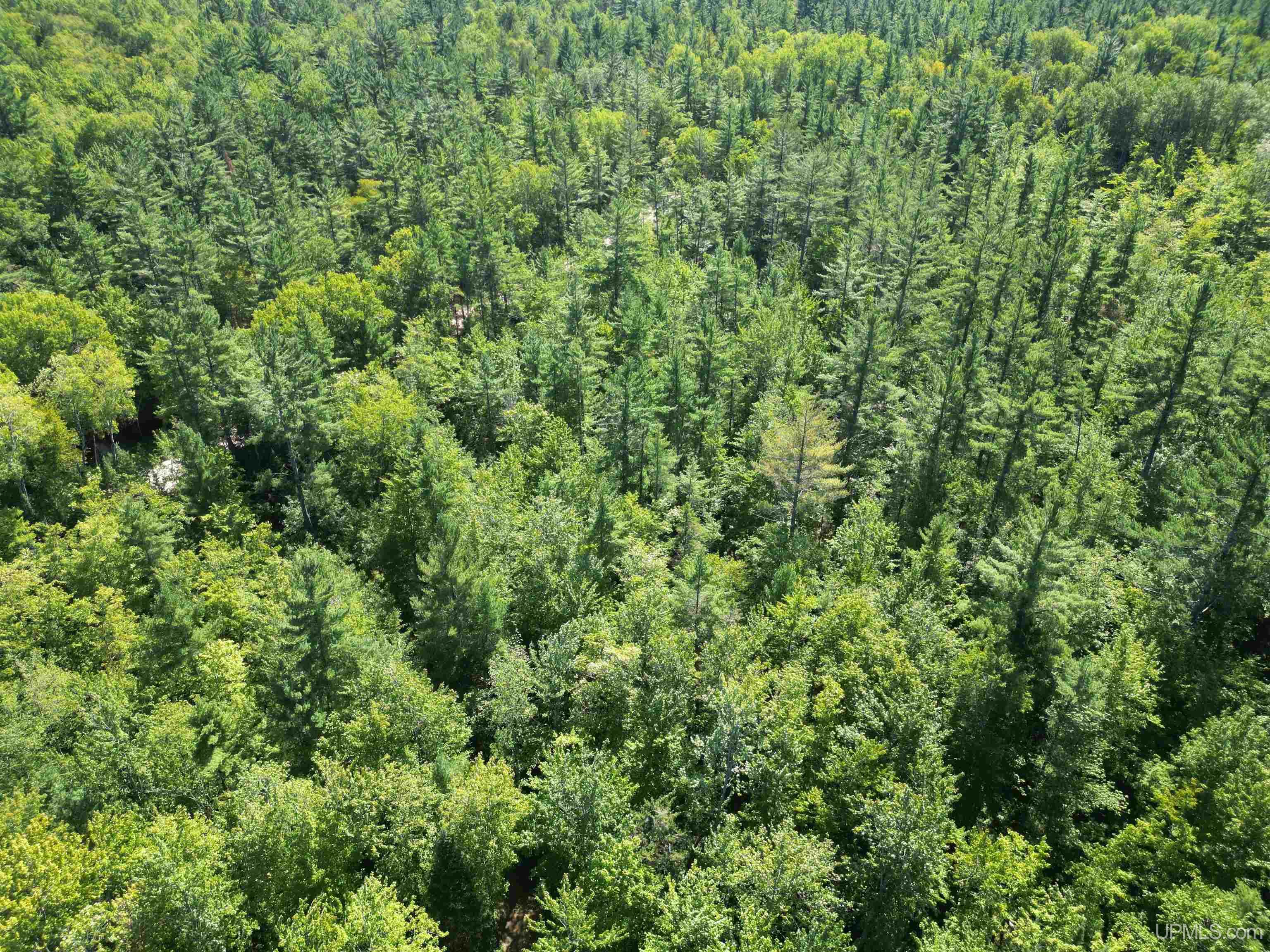 13325 County 509 Y Road Rapid River, MI 49878 - Photo 3 of 52