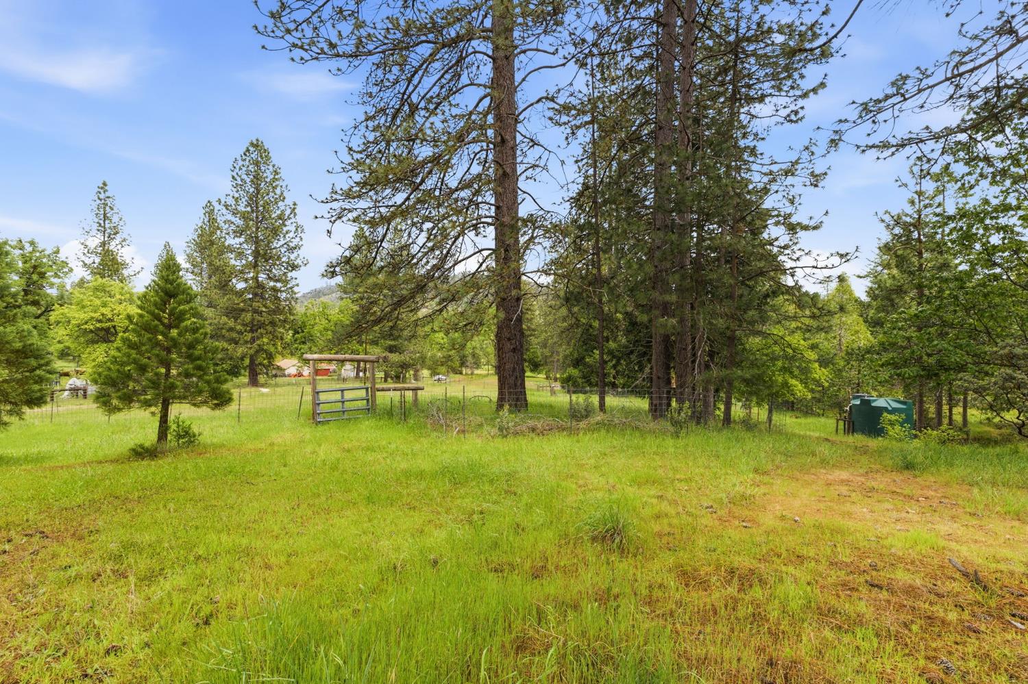7019 Scott Road Mariposa, CA 95338 - Photo 46 of 77