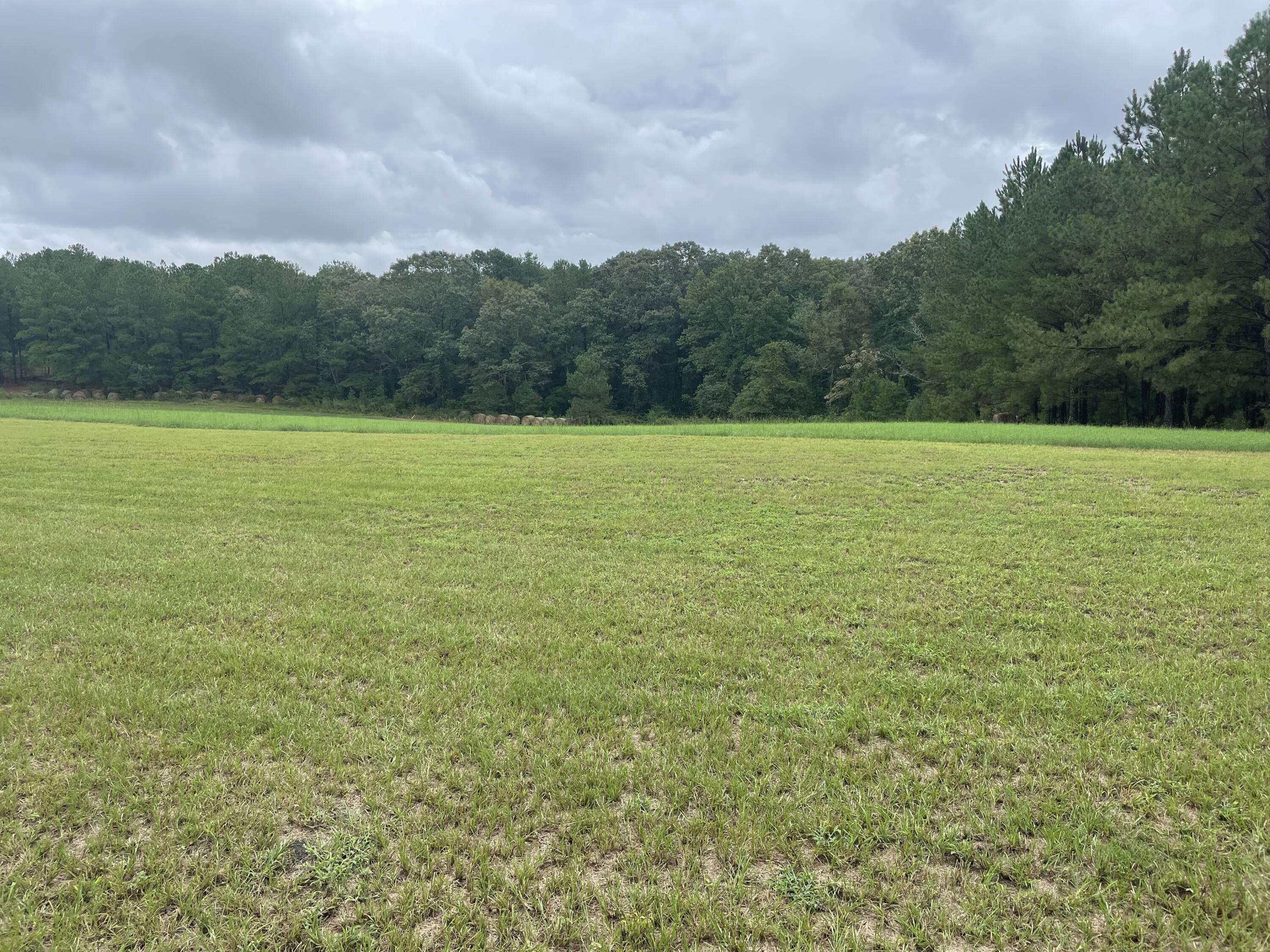 113 Fox Road Aiken, SC 29805 - Photo 2 of 13 a view of an ocean from a yard