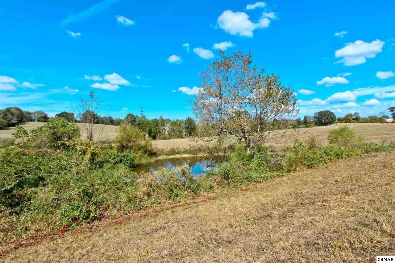 2 Timber Ridge Road Greeneville, TN 37743 - Photo 17 of 27 Gallery Image 17