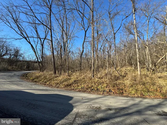 $39,000 | Magnolia Road, Great Cacapon, WV 25422