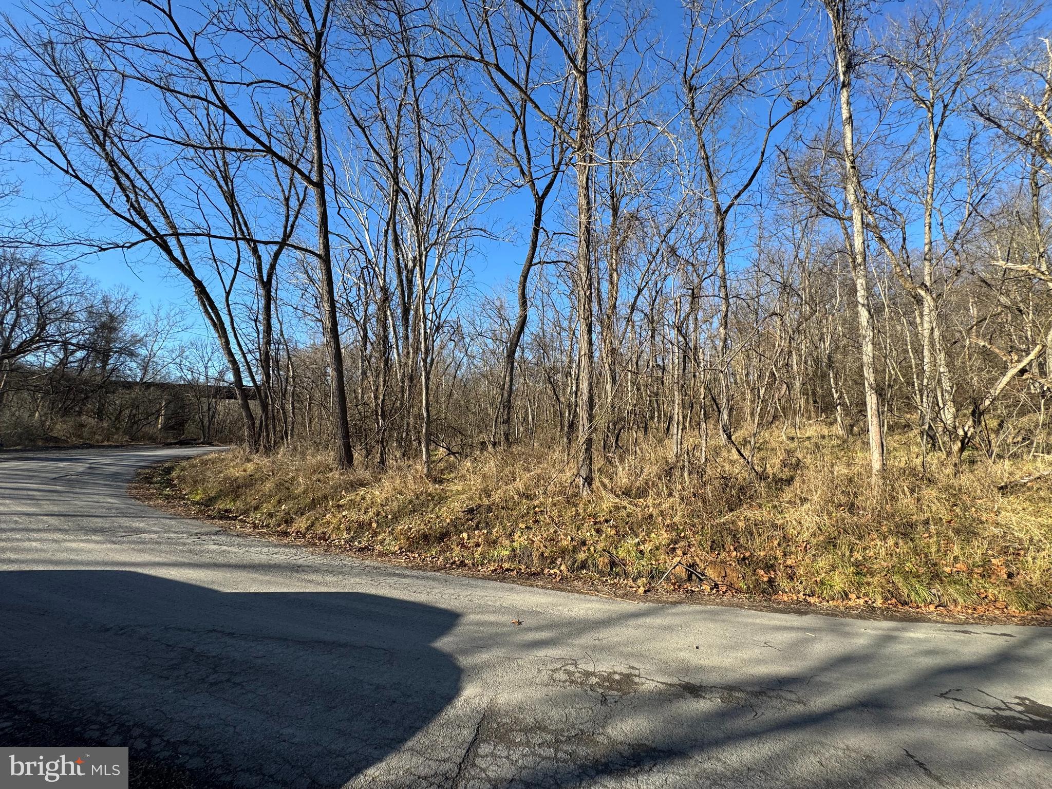 Magnolia Road Great Cacapon, WV 25422 - Photo 12 of 31