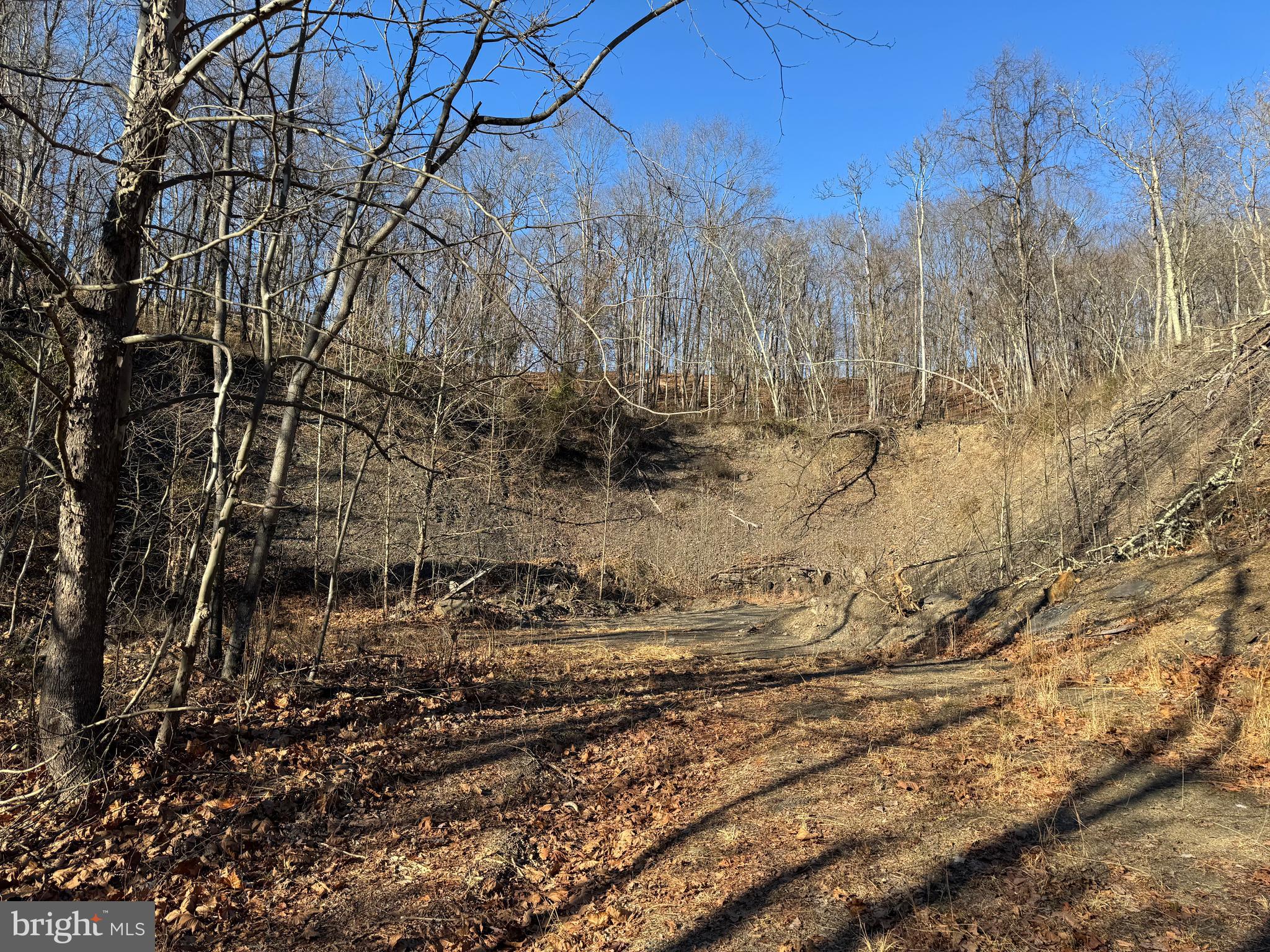 Magnolia Road Great Cacapon, WV 25422 - Photo 16 of 31