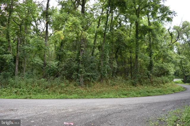 $39,000 | Magnolia Road, Great Cacapon, WV 25422