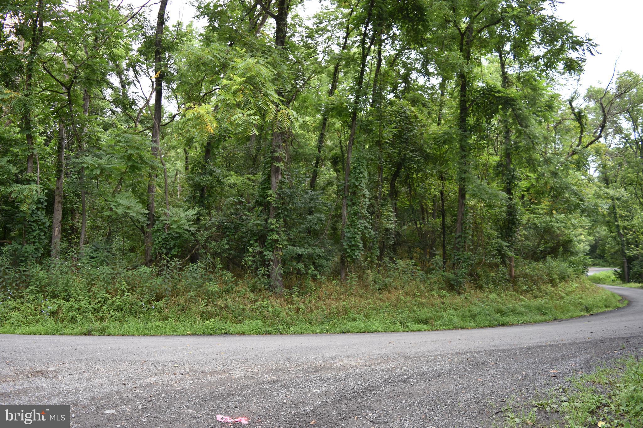 Magnolia Road Great Cacapon, WV 25422 - Photo 18 of 31