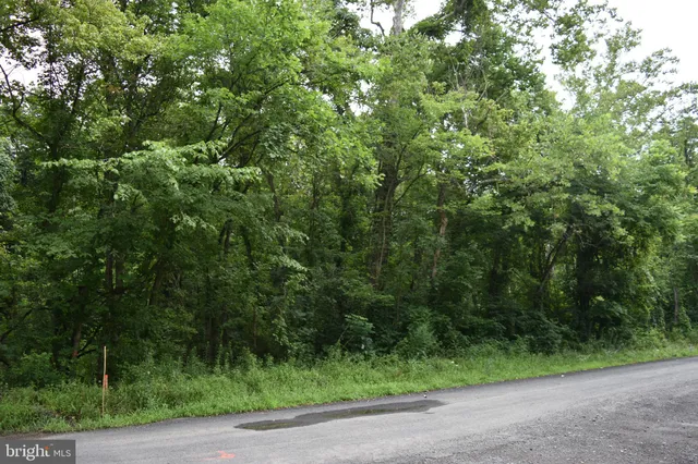 $39,000 | Magnolia Road, Great Cacapon, WV 25422