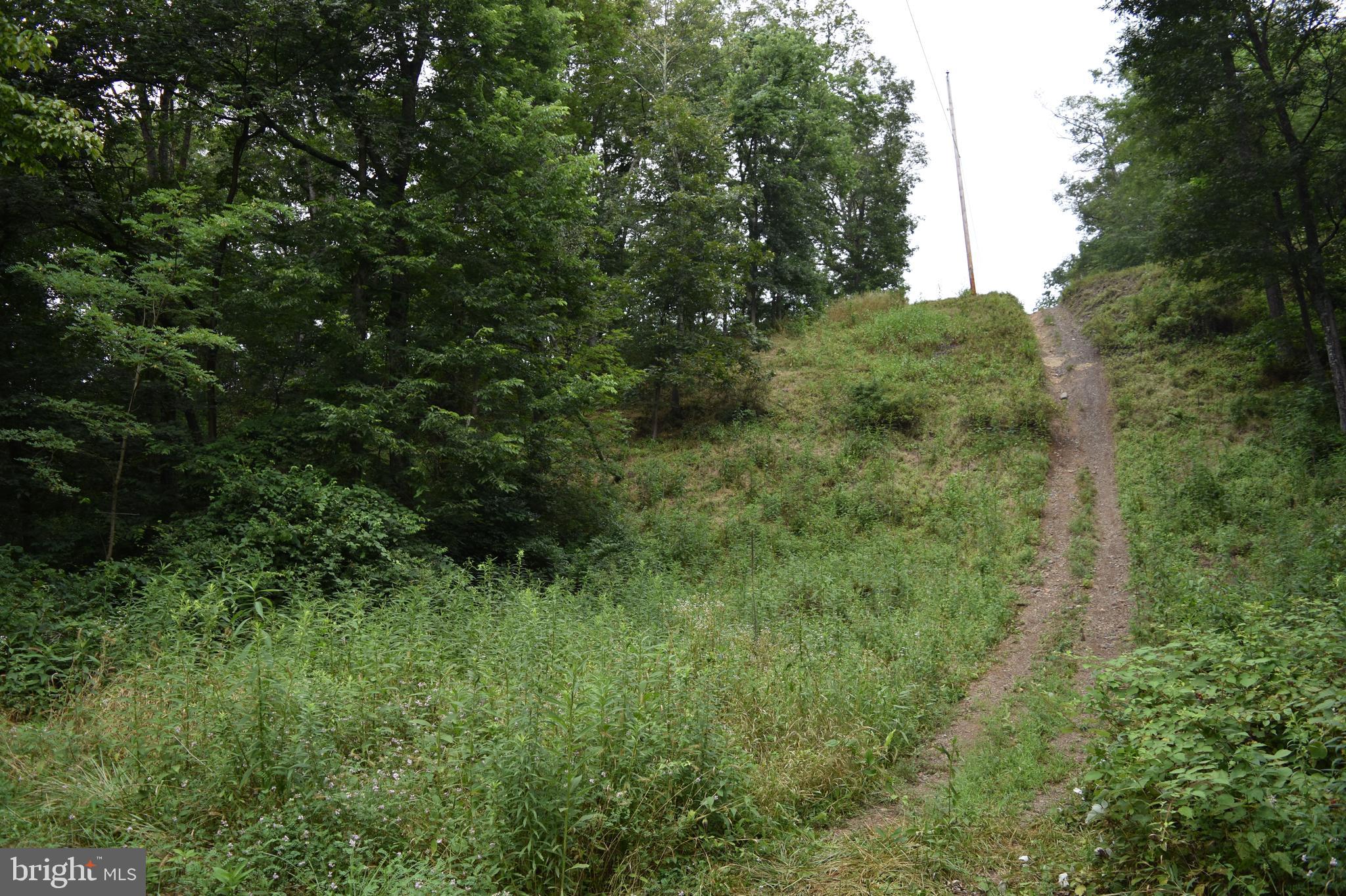 Magnolia Road Great Cacapon, WV 25422 - Photo 20 of 31