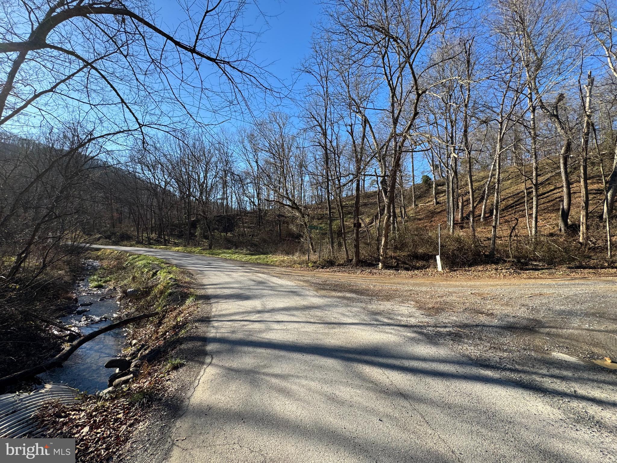 Magnolia Road Great Cacapon, WV 25422 - Photo 2 of 31