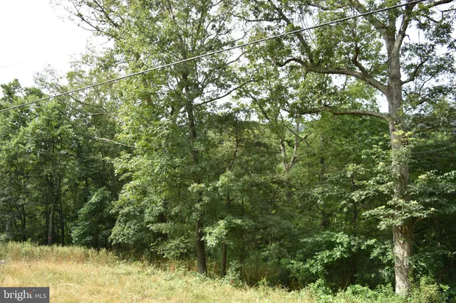 $39,000 | Magnolia Road, Great Cacapon, WV 25422