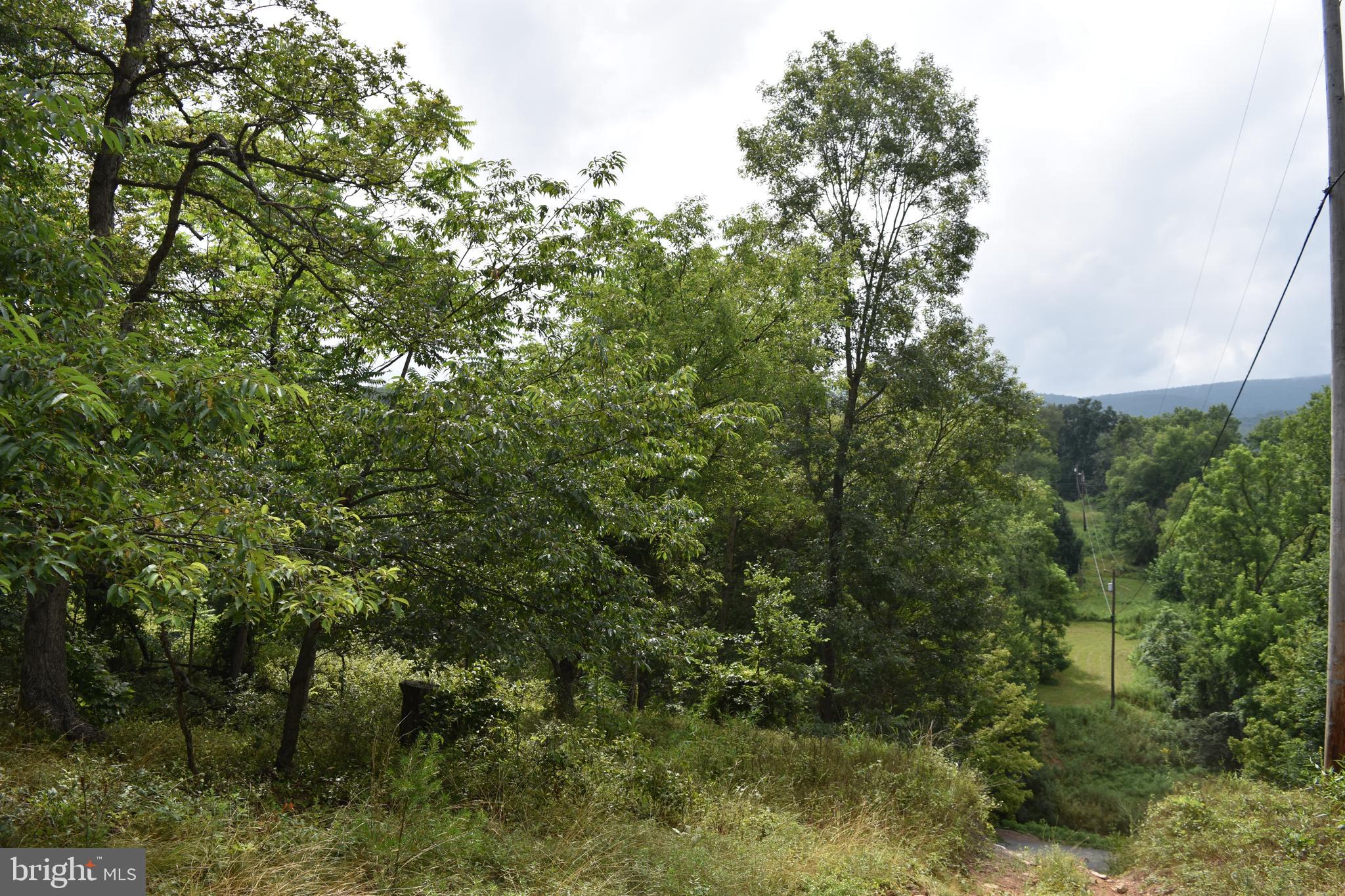 Magnolia Road Great Cacapon, WV 25422 - Photo 24 of 31