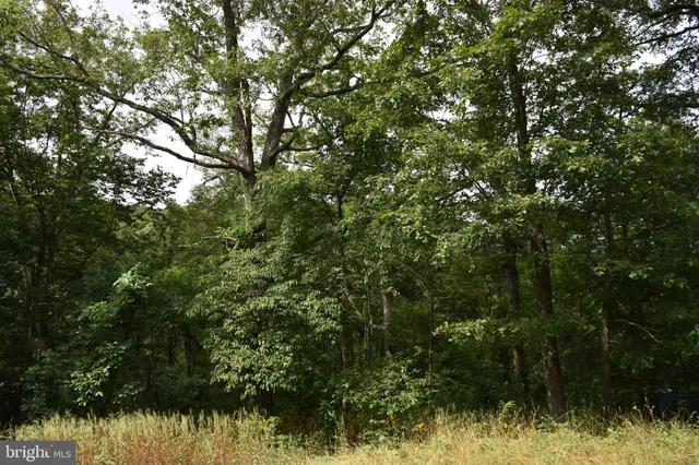 $39,000 | Magnolia Road, Great Cacapon, WV 25422