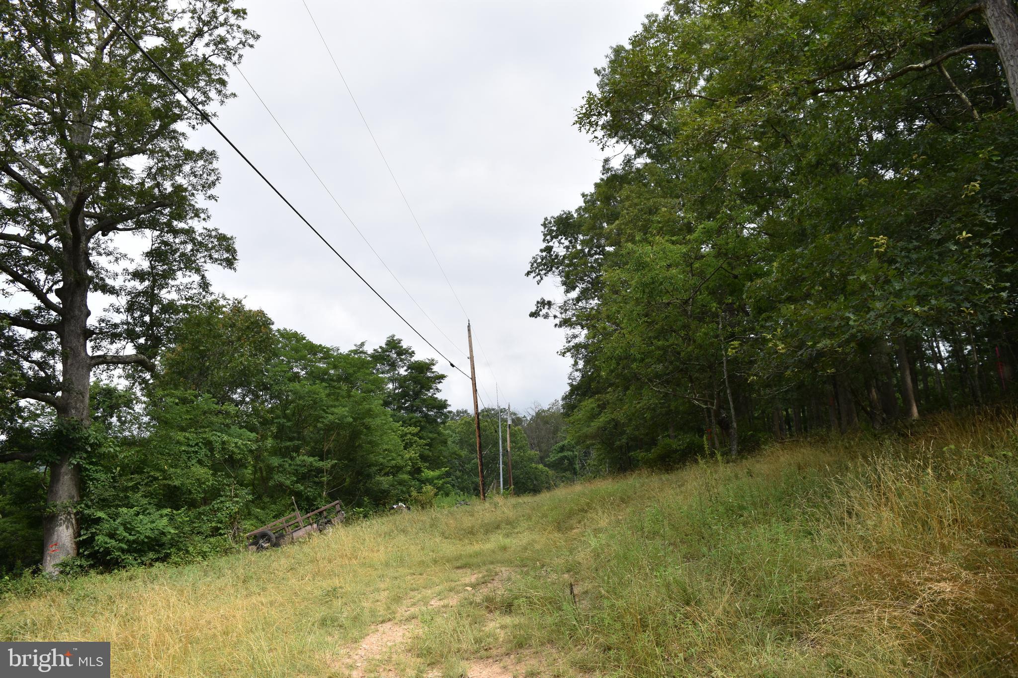 Magnolia Road Great Cacapon, WV 25422 - Photo 26 of 31