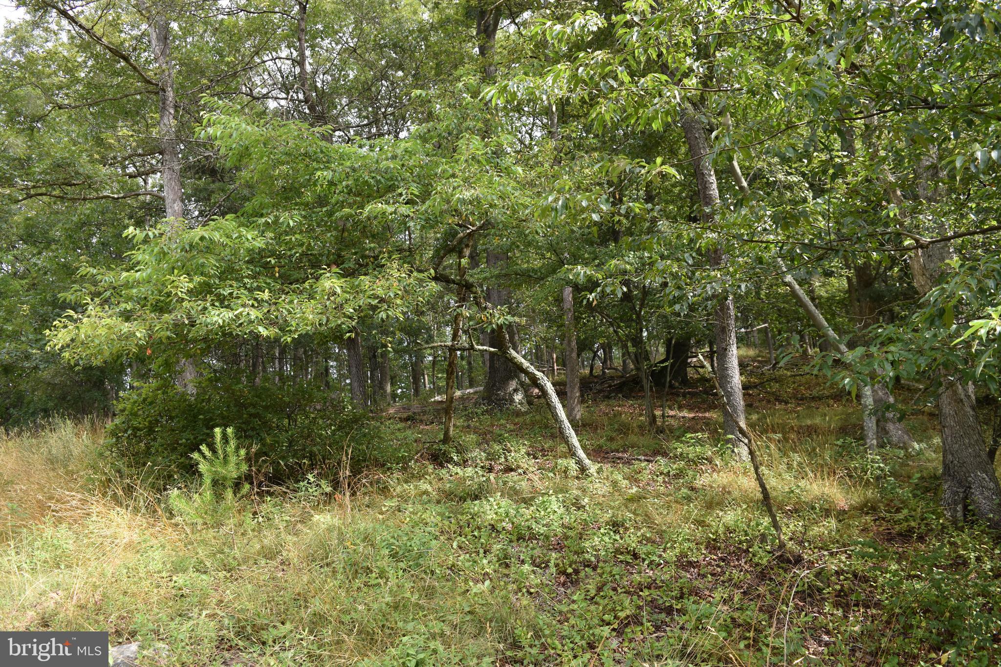 Magnolia Road Great Cacapon, WV 25422 - Photo 27 of 31