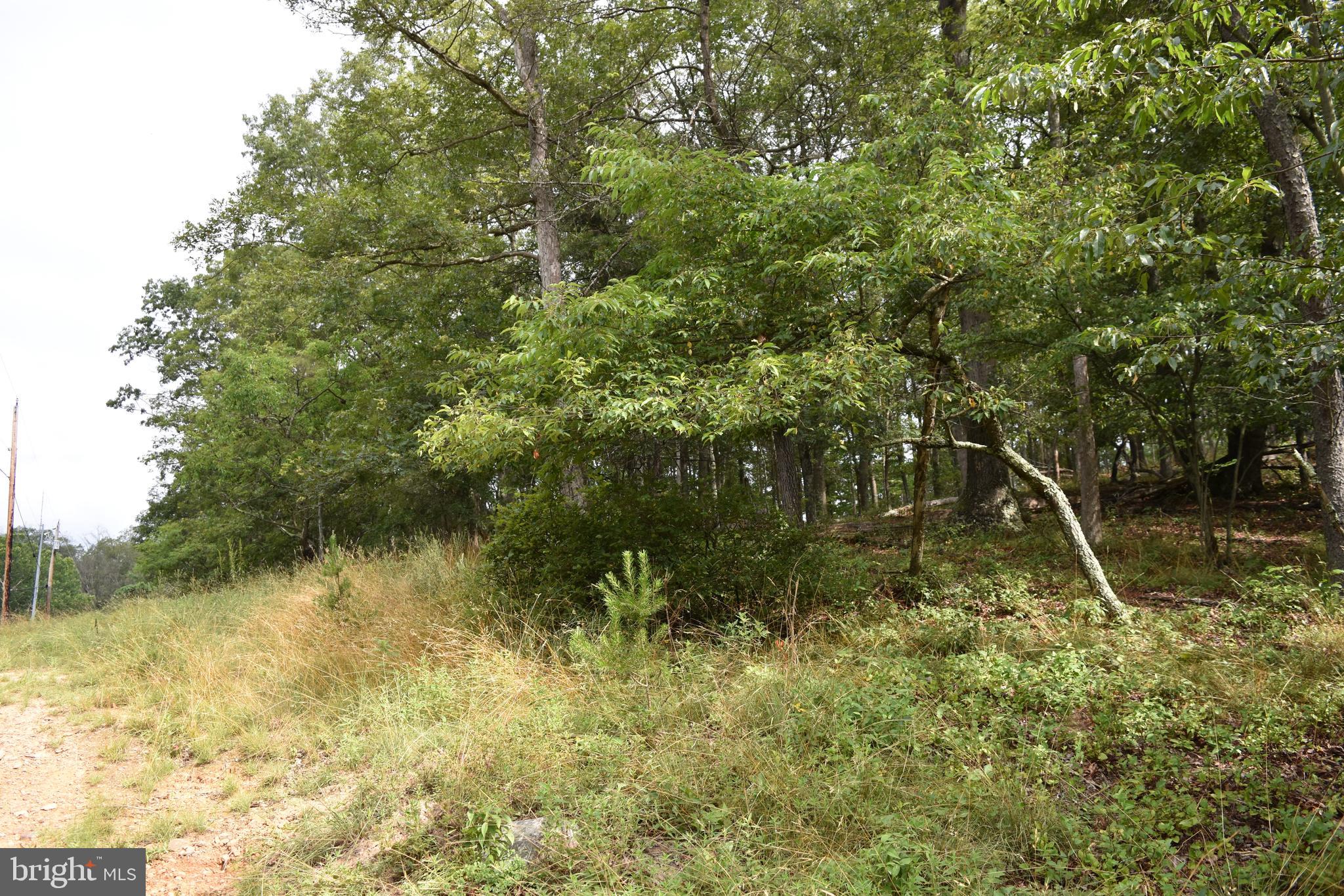 Magnolia Road Great Cacapon, WV 25422 - Photo 28 of 31