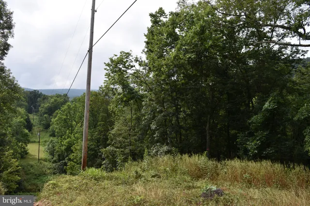 $39,000 | Magnolia Road, Great Cacapon, WV 25422